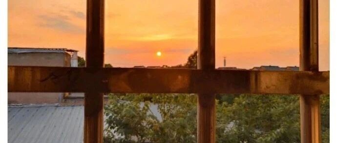 【冷兔趣闻】世 界 的 参 差！