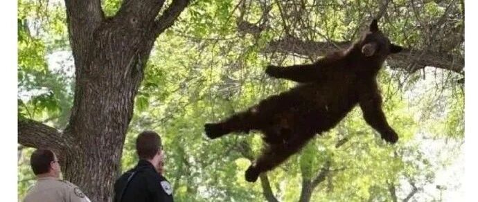 【冷兔•槽】每日一冷NO.2743