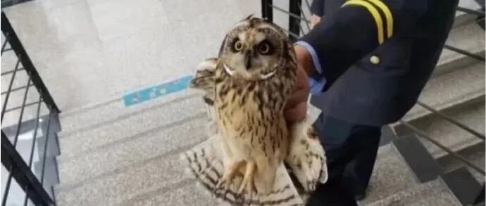 【冷兔•槽】每日一冷NO.3145