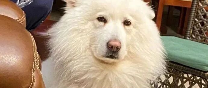 【冷兔•槽】每日一冷NO.3239