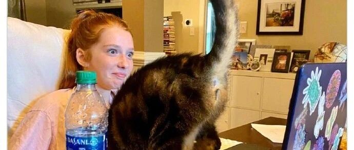 【冷兔•槽】每日一冷NO.2719