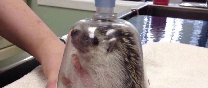 【冷兔•槽】每日一冷NO.2875