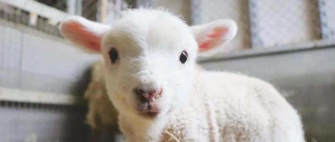 【冷兔•槽】每日一冷NO.3222