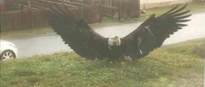 【冷兔•槽】每日一冷NO.2820