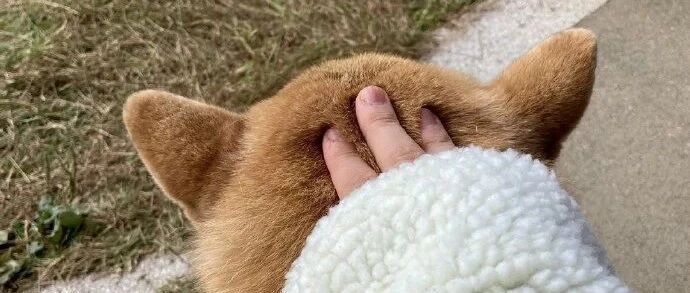 【冷兔•槽】每日一冷NO.2806