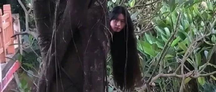 【冷兔•槽】每日一冷NO.3142