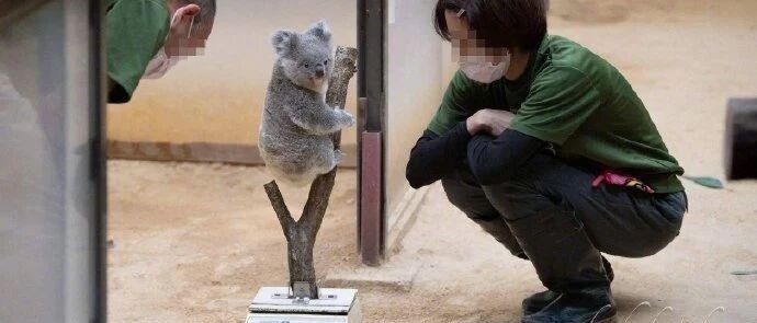 【冷兔•槽】每日一冷NO.2753