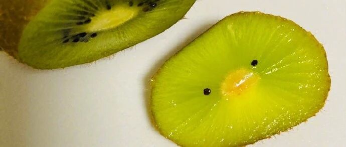 【冷兔•槽】每日一冷NO.3106