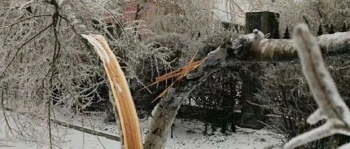 【冷兔•槽】每日一冷NO.2802