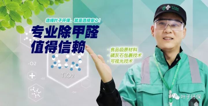 叶子环保被权威机构“中国除醛网”评为DI一品牌|新闻动态-武汉小小叶子环保科技有限公司