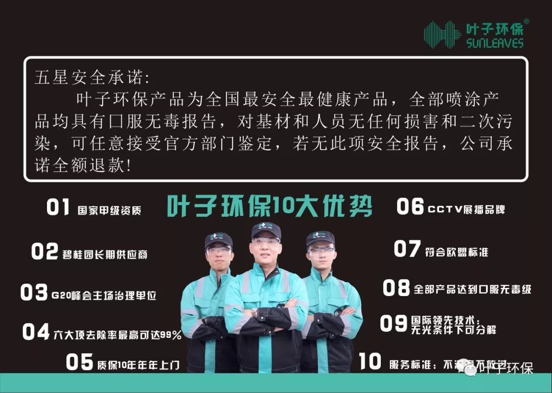 叶子环保被权威机构“中国除醛网”评为DI一品牌|新闻动态-武汉小小叶子环保科技有限公司