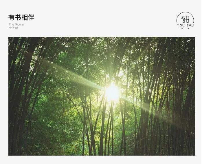 深到骨子里的教养，是接纳别人的不完美