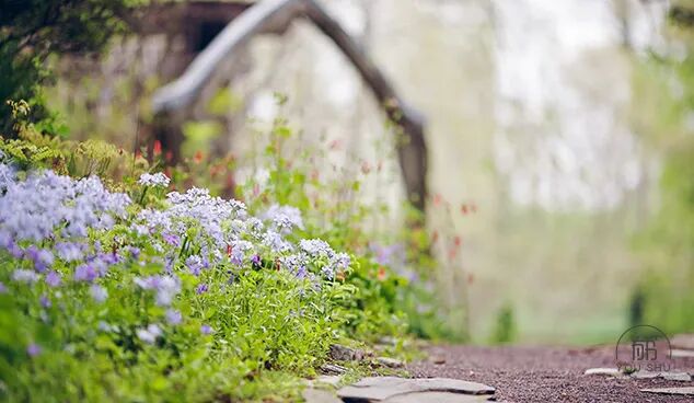 夏至 白昼最长 情意更长 国际新闻
