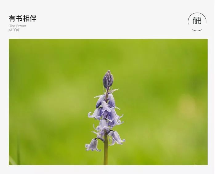 延禧攻略:低情商的善良,是人性最大的惡 娛樂 第1張-尋夢娛樂 延禧攻略:低情商的善良,是人性最大的惡 娛樂 第1張