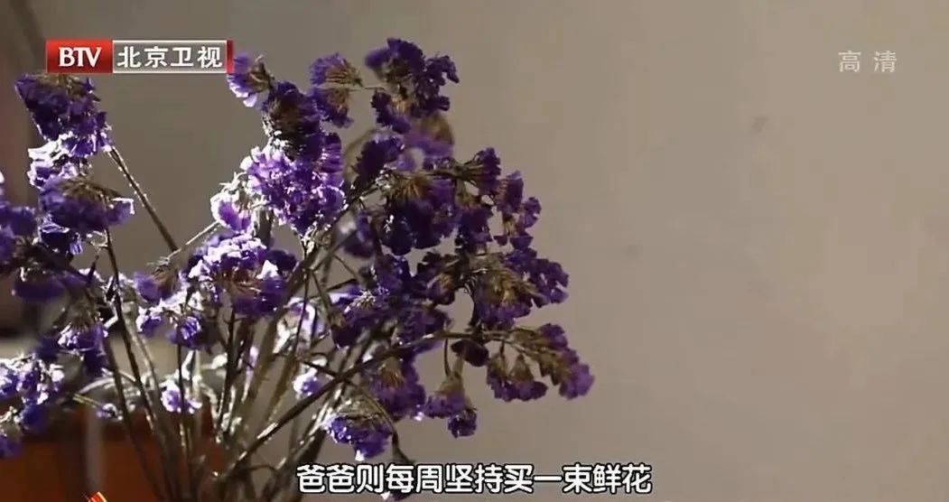 一家3口蝸居10㎡陋室，藏書萬本，把兒子養成「富二代」：你以為的富養，99%都是錯的！ 親子 第10張