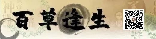 “两处一垂，阳气将灭”，是指哪“两处”？暗示了什么？