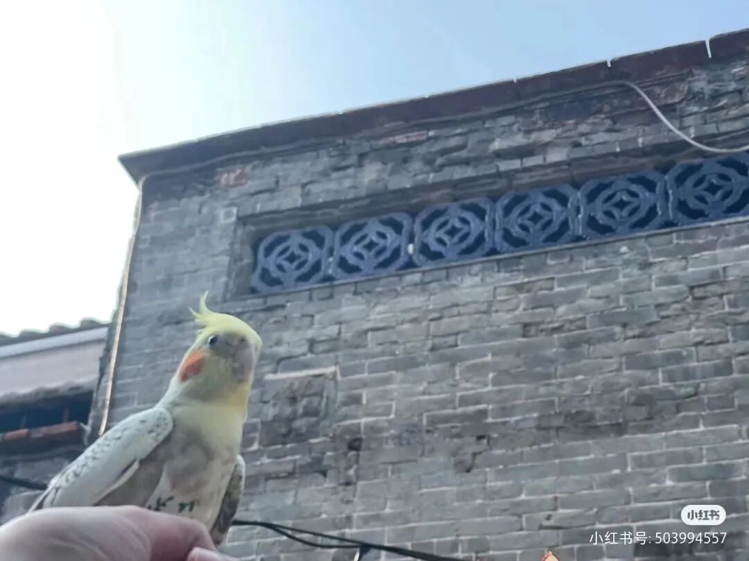 ͼƬ