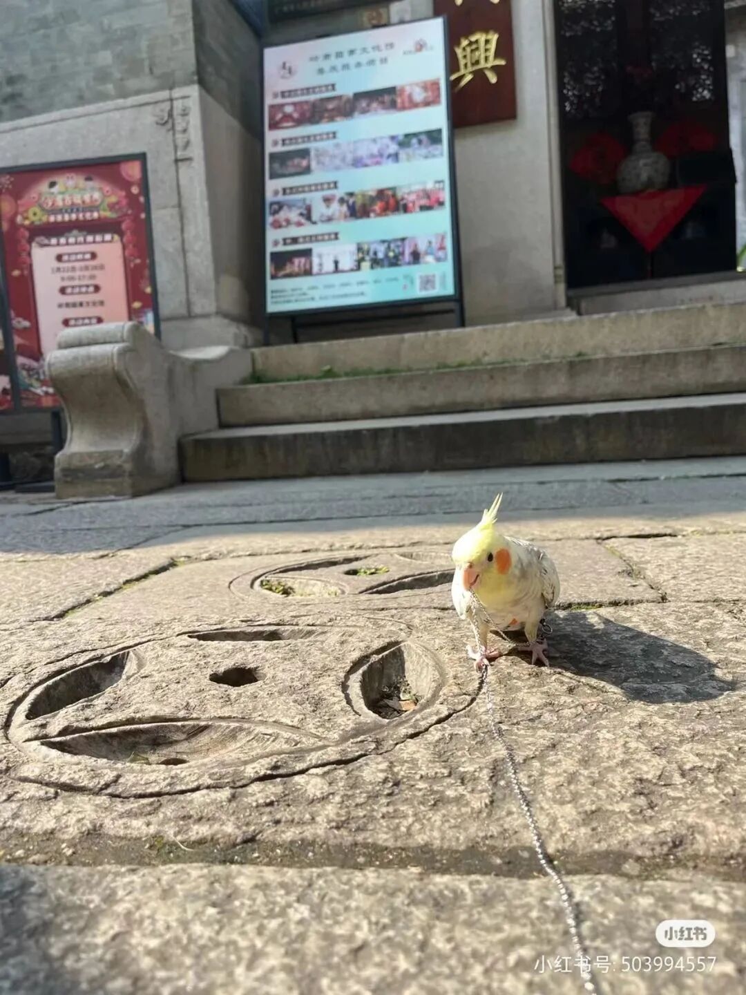 ͼƬ