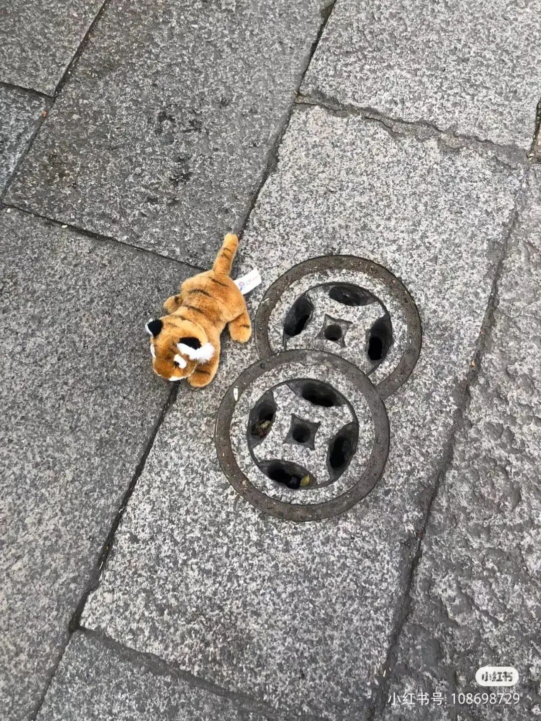 ͼƬ