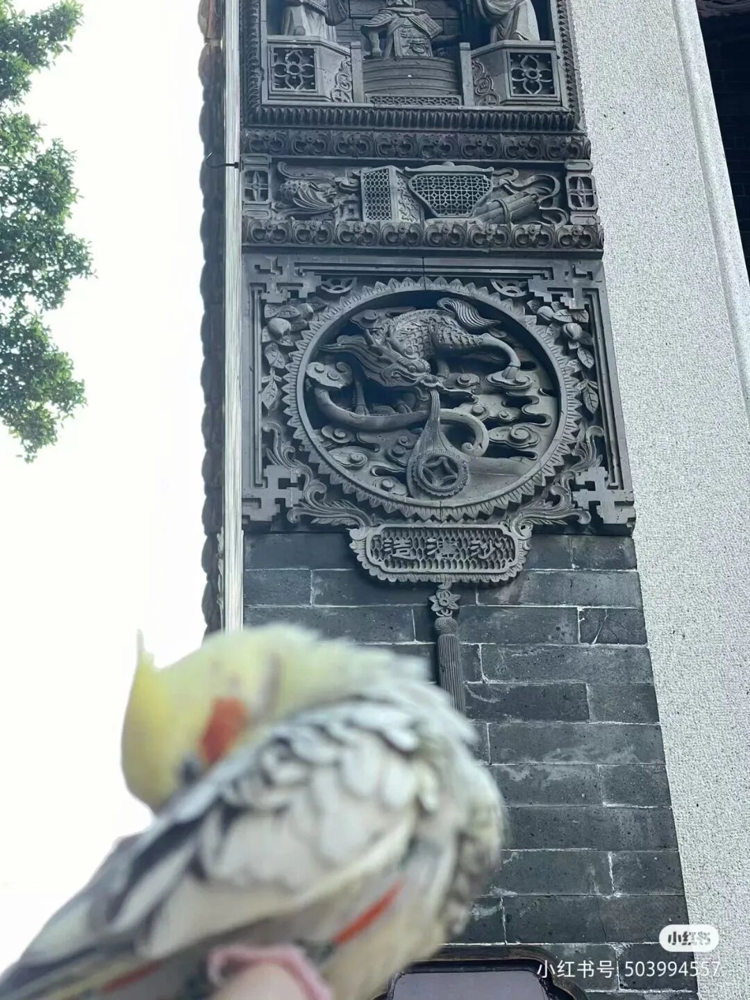 ͼƬ