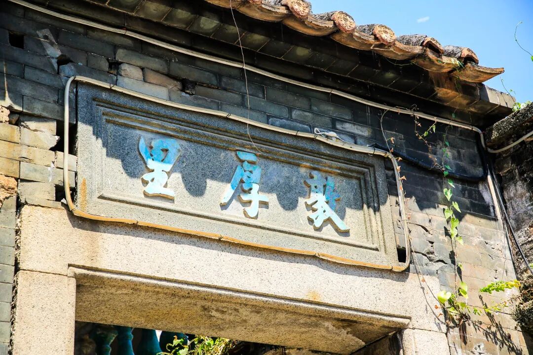 ͼƬ