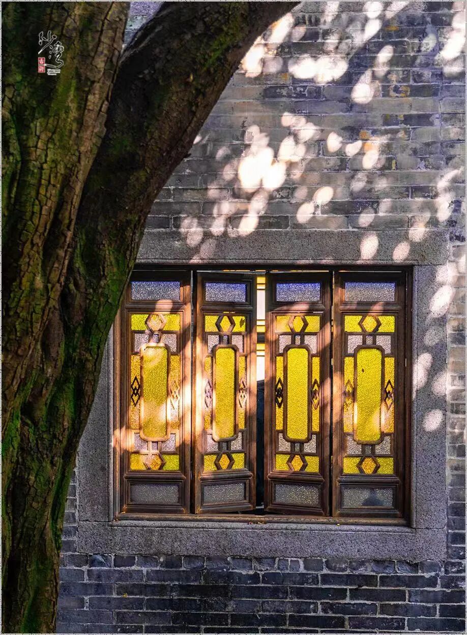ͼƬ