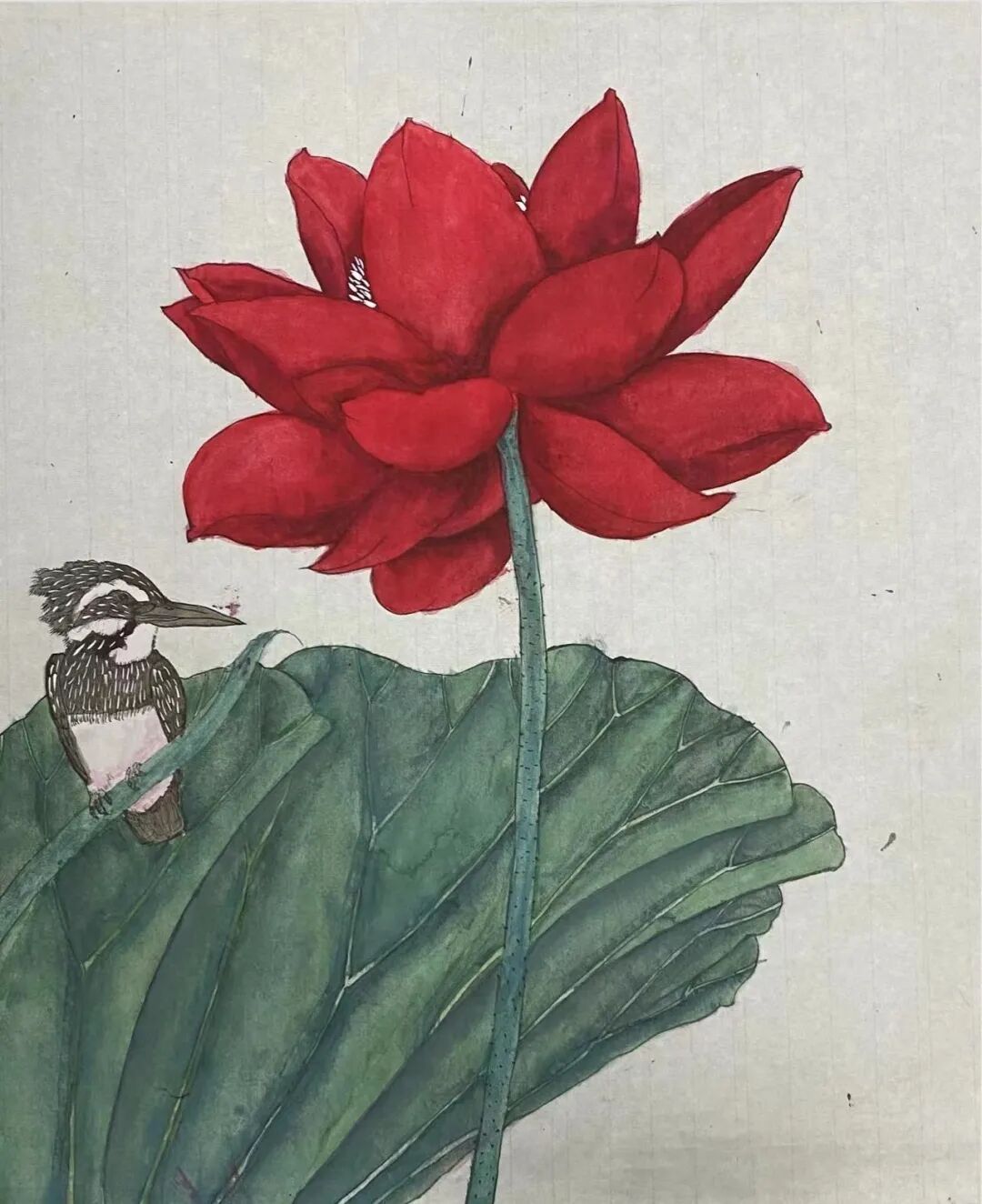 ͼƬ