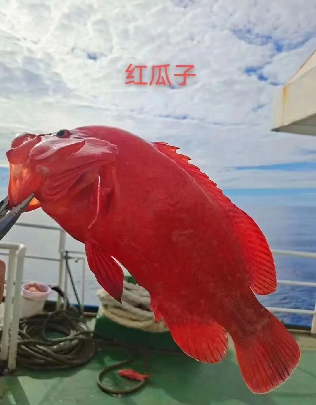 ͼƬ