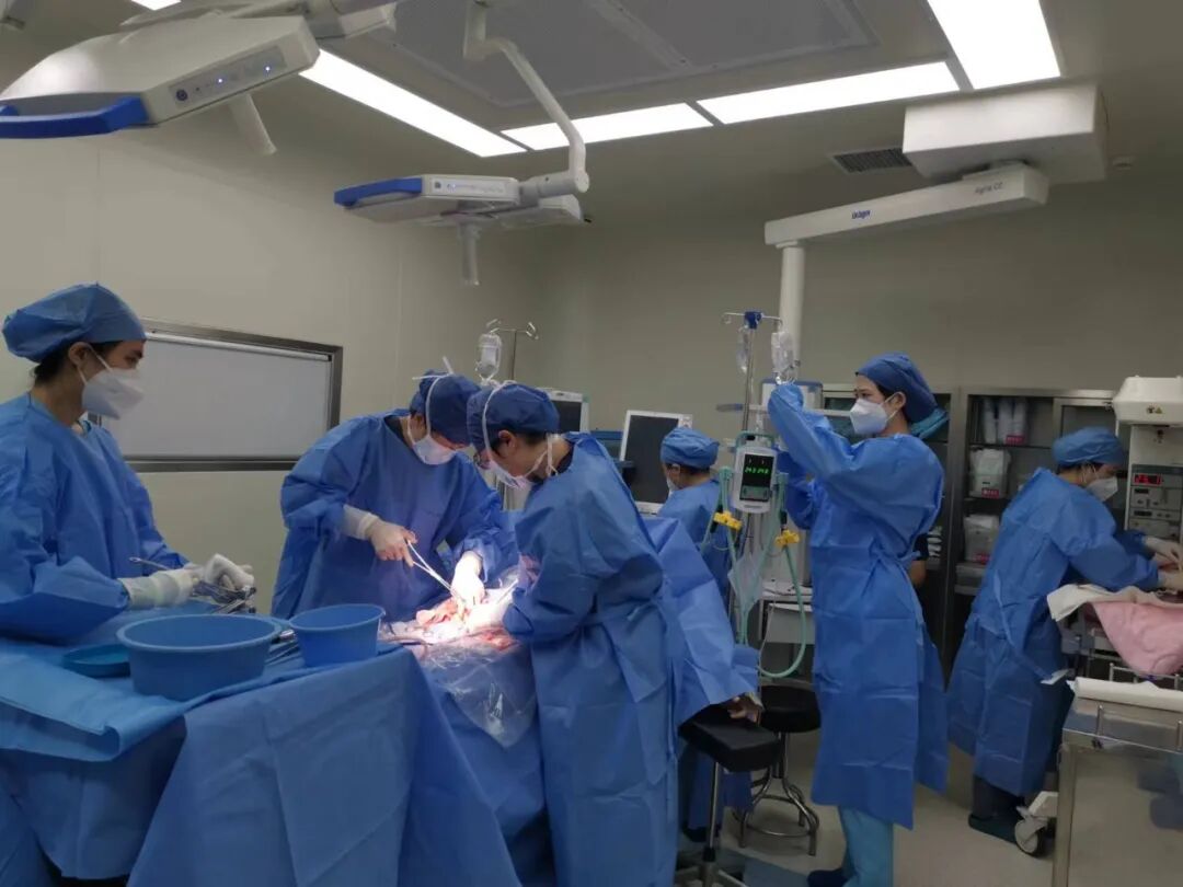 肌瘤钻怎么写【秩序回归，征程再启】无影灯下的“手”护_https://www.jmylbn.com_新闻资讯_第9张