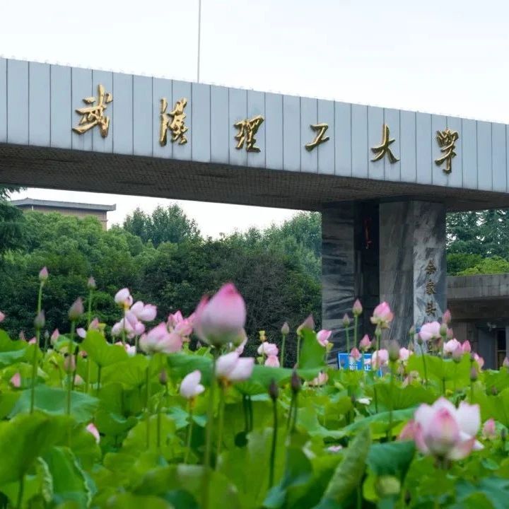 武汉理工大学2022年第二学士学位招生简章