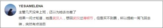 32万人入园祭扫！武汉人的清明节让人心酸，李文亮妻子最后一条微博令人泪目（组图） - 2