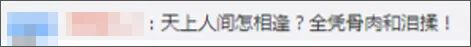 32万人入园祭扫！武汉人的清明节让人心酸，李文亮妻子最后一条微博令人泪目（组图） - 4