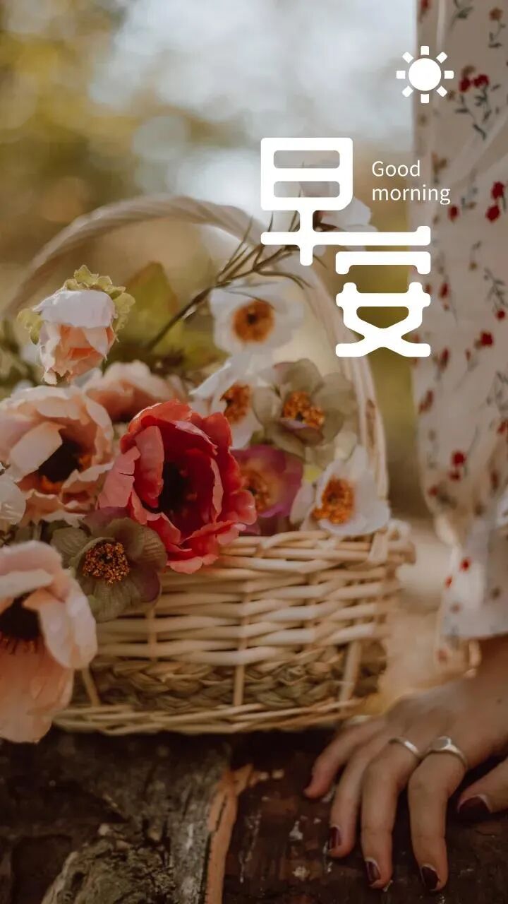 每日朋友圈早安正能量励志语录朋友圈早安文案海报配图