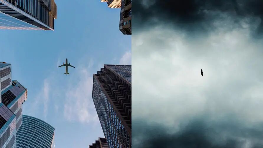 短视频剪辑全流程！普通人也能剪出大片！