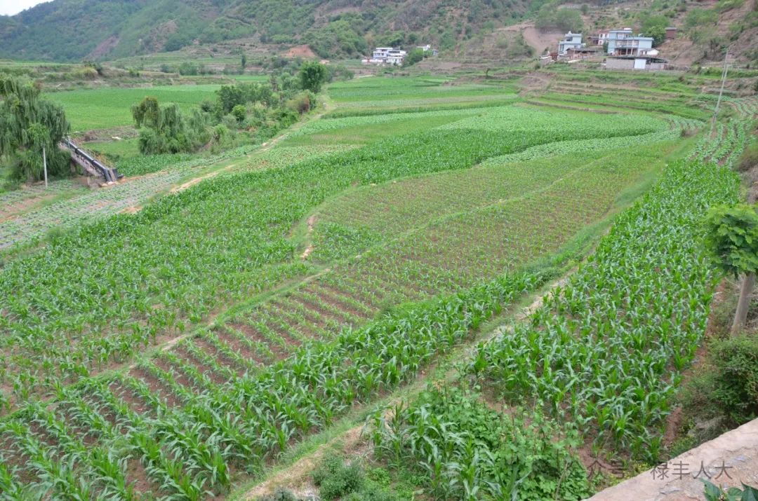 乡镇土地管理法执行情况