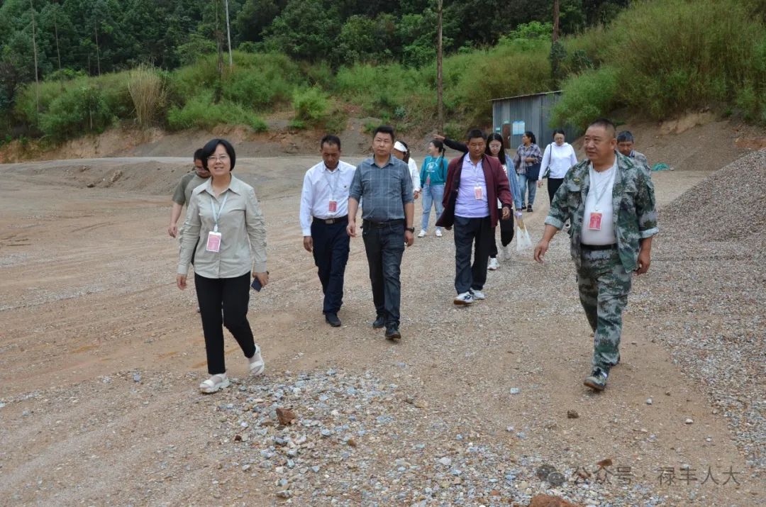乡镇土地管理法执行情况
