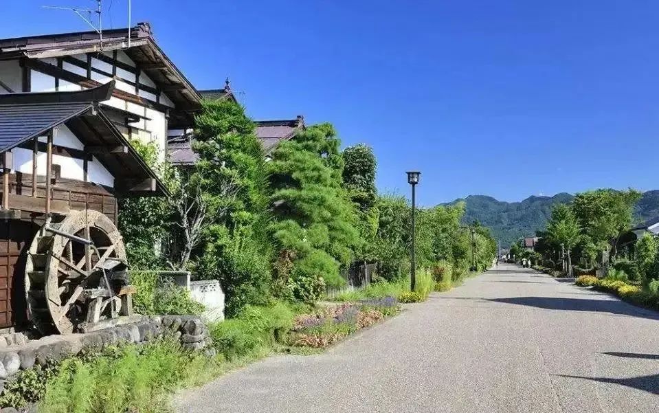 如何打造数字乡村？这些国内外经典案例值得借鉴(图5)