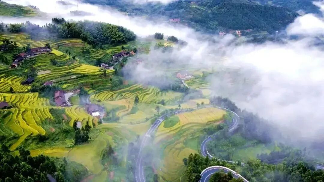 如何打造数字乡村？这些国内外经典案例值得借鉴(图7)