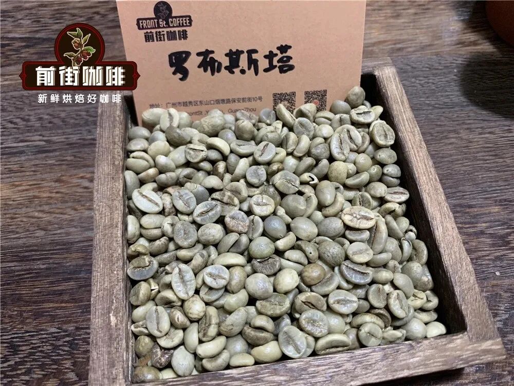 罗布斯塔咖啡豆