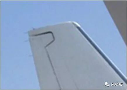 【妙趣力学|张华】从蜻蜓翅痣谈飞机机翼颤振及其抑制

【妙趣力学|张华】从蜻蜓翅痣谈飞机机翼颤振及其抑制的图10