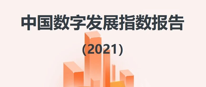 中国数字发展指数报告（2021）