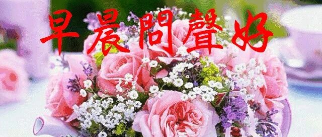 微信群发最新版早上好快乐祝福语录大全，朋友圈新版早晨好漂亮祝福图片鲜花带字