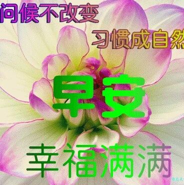 2024新版早上幽默问候动画图片合集，清晨早上好问候祝福语大全