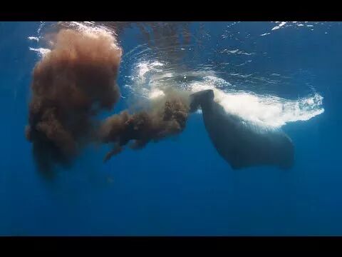 



这种便便，从太空中都能看到
