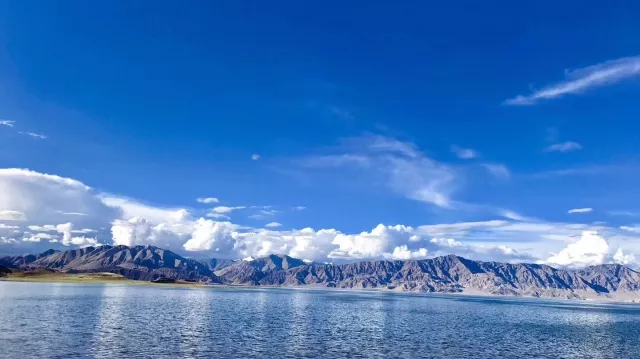致富经:为了种植红肉苹果—红色之爱,银行行长辞职了 致富经:为了种植红肉苹果—红色之爱,银行行长辞职了