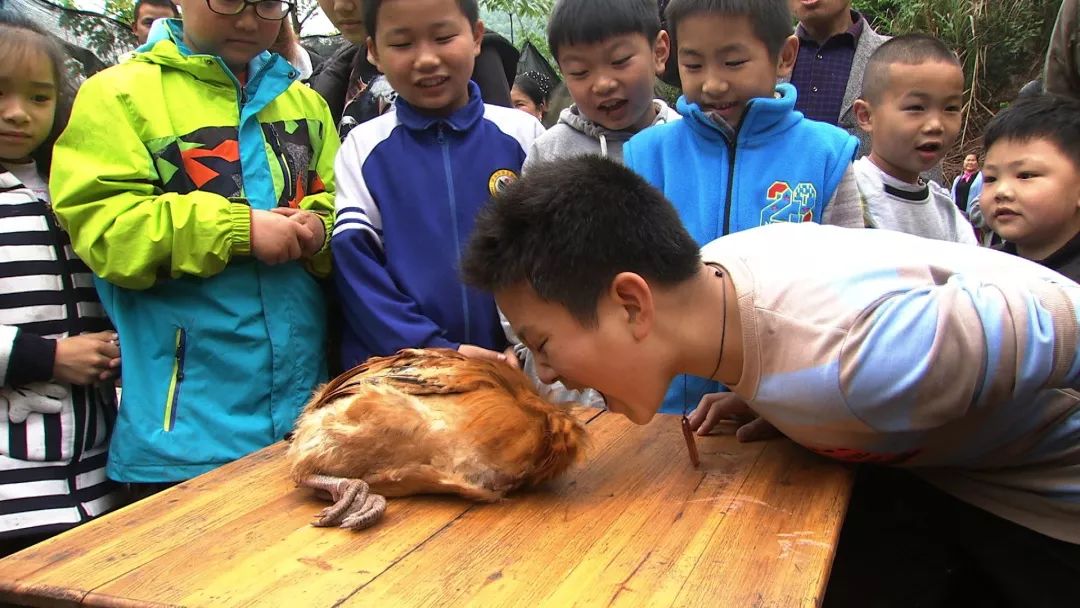 致富经养狗_致富经养狗视频2018_致富项目养狗