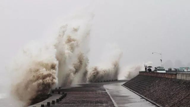 养鱼致富经_致富经养鱼一年多赚1000万_致富经养鱼视频大全集