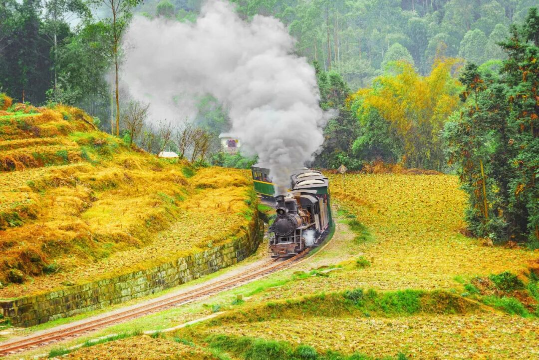 11月去哪玩？国内这9个适合深秋游玩的地方，一定不要错过插图1