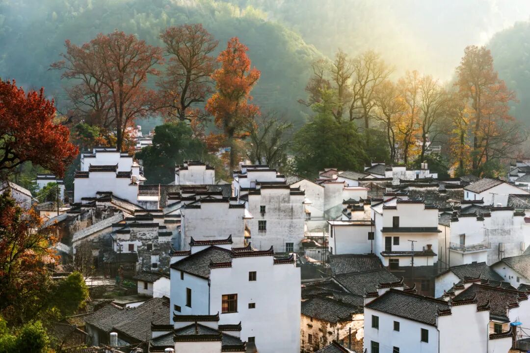 11月去哪玩？国内这9个适合深秋游玩的地方，一定不要错过插图4