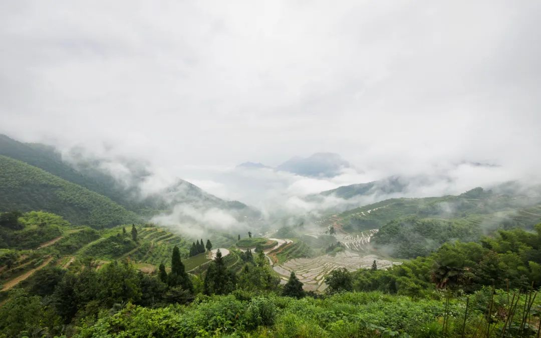 浙江这6个藏在大山深处的世外桃源，才是真正私藏的避世美景！插图5